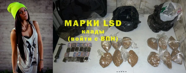 прущие грибы Лагань