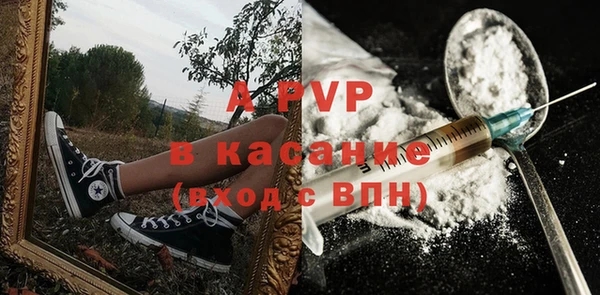 PSILOCYBIN Ладушкин
