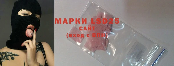 PSILOCYBIN Ладушкин