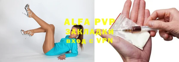 PSILOCYBIN Ладушкин