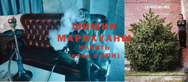прущие грибы Лагань