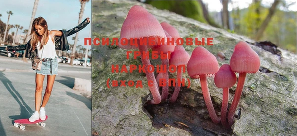 прущие грибы Лагань