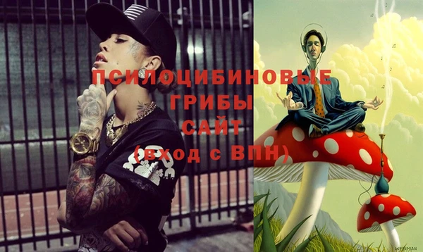 PSILOCYBIN Ладушкин