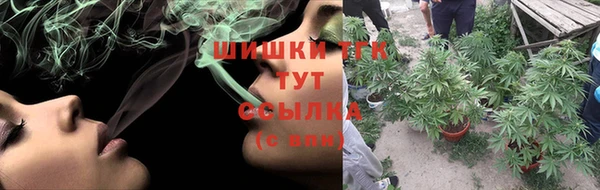 PSILOCYBIN Ладушкин