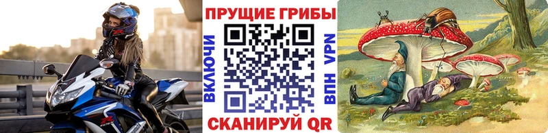 Псилоцибиновые грибы прущие грибы Ейск