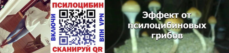 Купить  Ейск  Псилоцибиновые грибы MAGIC MUSHROOMS 