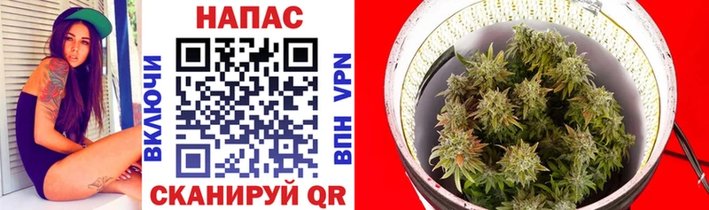 Купить  Ейск  Каннабис OG Kush 